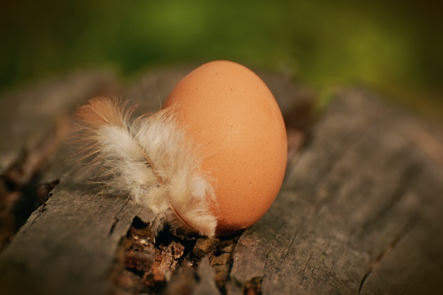 夢見雞蛋是什麼意思