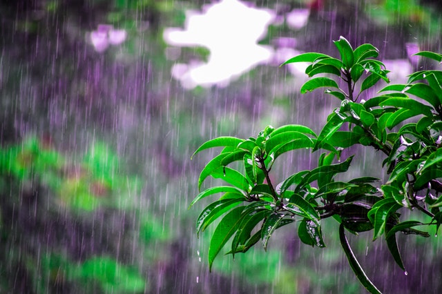 夢見下雨是什麼意思