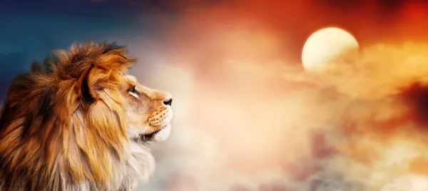 夢見獅子是什麼意思