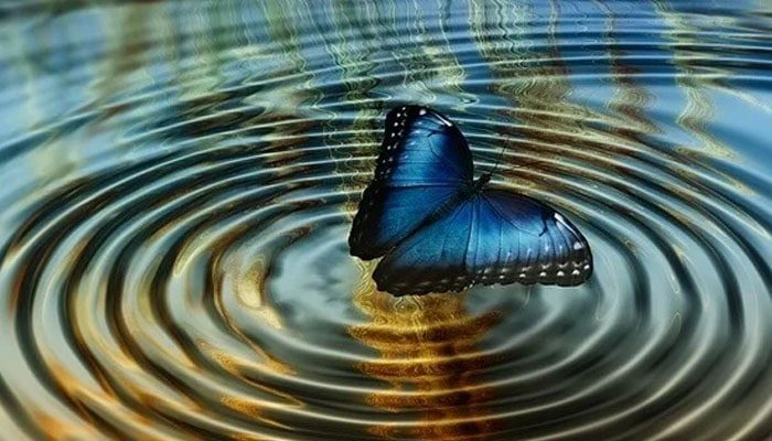 夢見蝴蝶是什麼預兆周公解夢