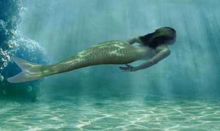 夢見美人魚
