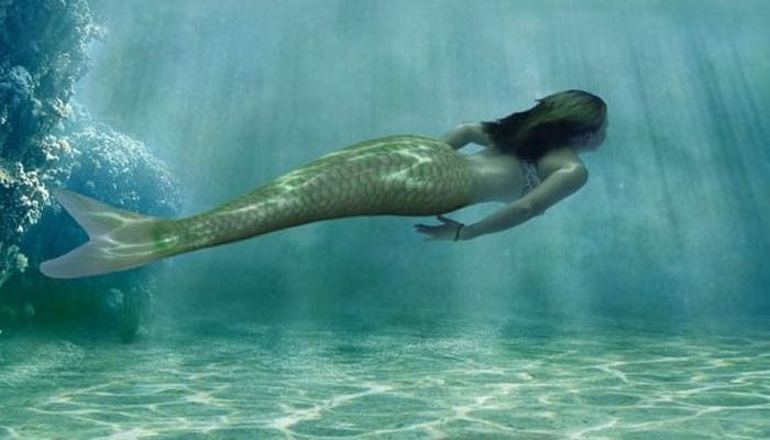 夢見美人魚 – 精神意義和象徵