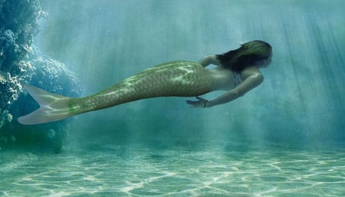 夢見美人魚