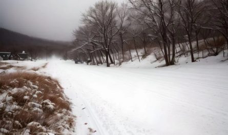 夢見暴風雪