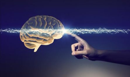 人本主義的理論與技巧