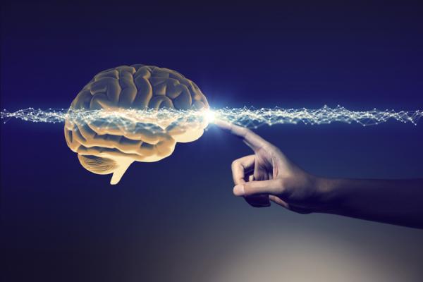 人本主義的理論與技巧
