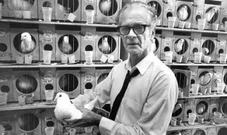心理學中的人格理論：BF Skinner