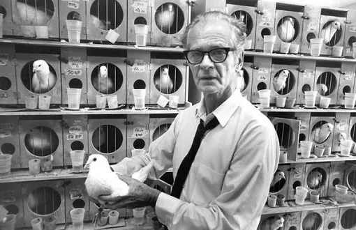 心理學中的人格理論：BF Skinner
