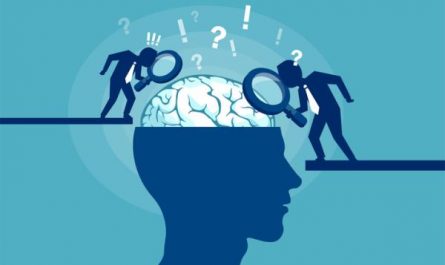 人格是遺傳的嗎？訓練和性狀