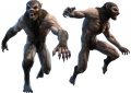 臨床狼人症：症狀、原因、治療和真實案例