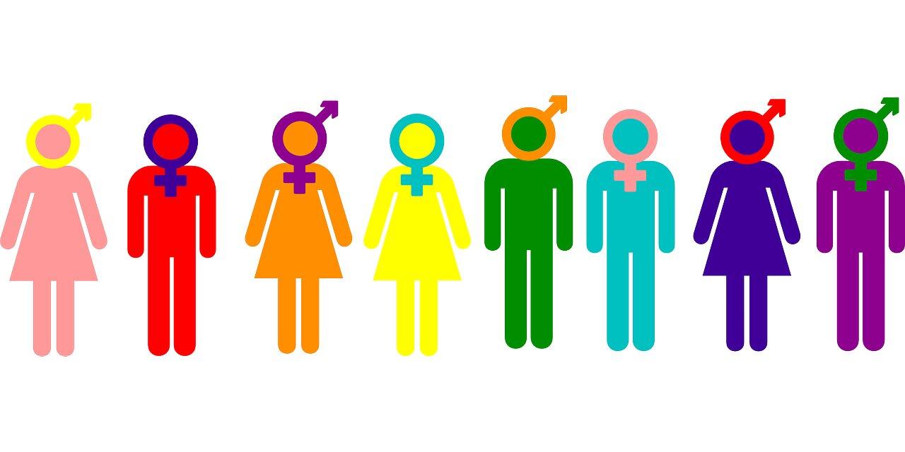 性別認同：它是什麼以及如何建構