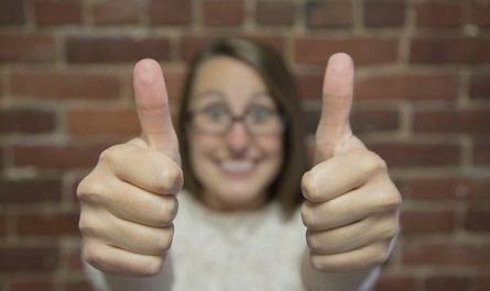 態度和能力的例子及其差異