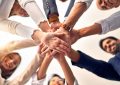 團隊合作：它是什麼、重要性、特點和優勢