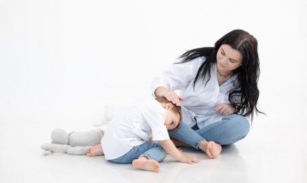 冰箱媽媽的理論和例子