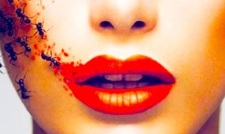 夢見螞蟻代表什麼意思？為什麼會夢到螞蟻？