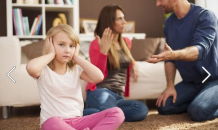 哪些功能失調家庭的類型，以及它們的特徵