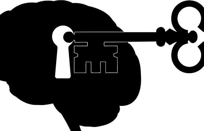 大腦的各個部分及其功能