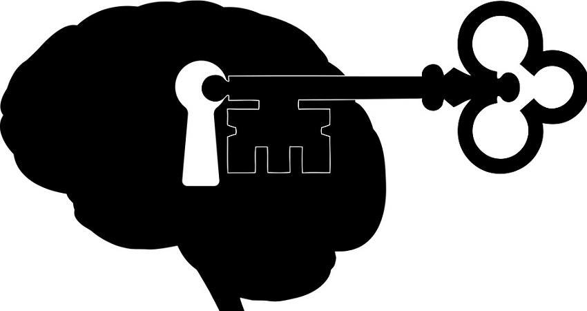 大腦的各個部分及其功能